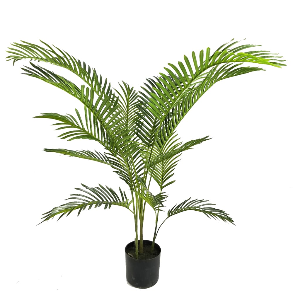 Areca Palm Plant In A Black Plastic Pot