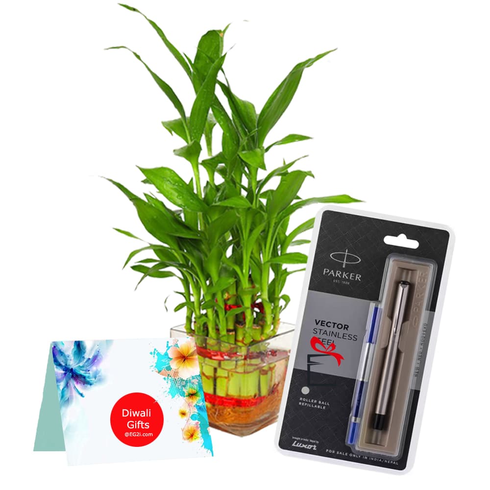 Lucky bambo with Parker Pen