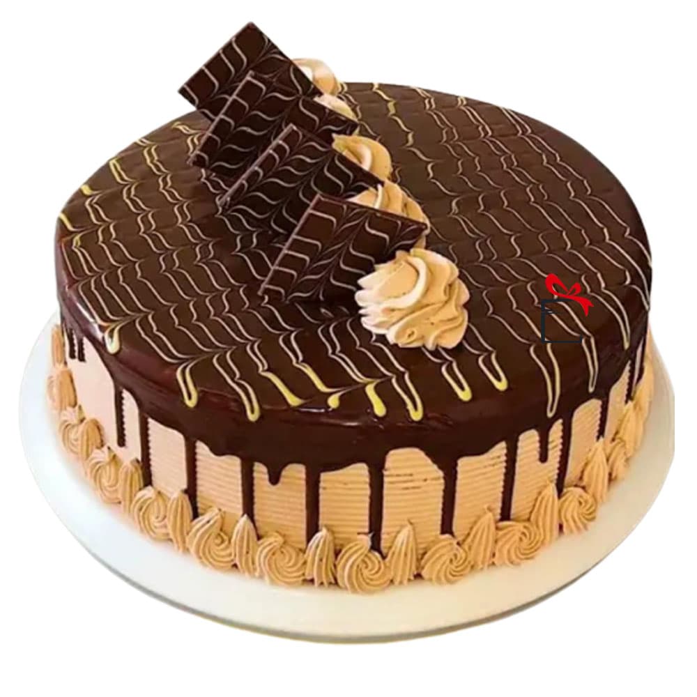 Supreme Cocoa Sensation