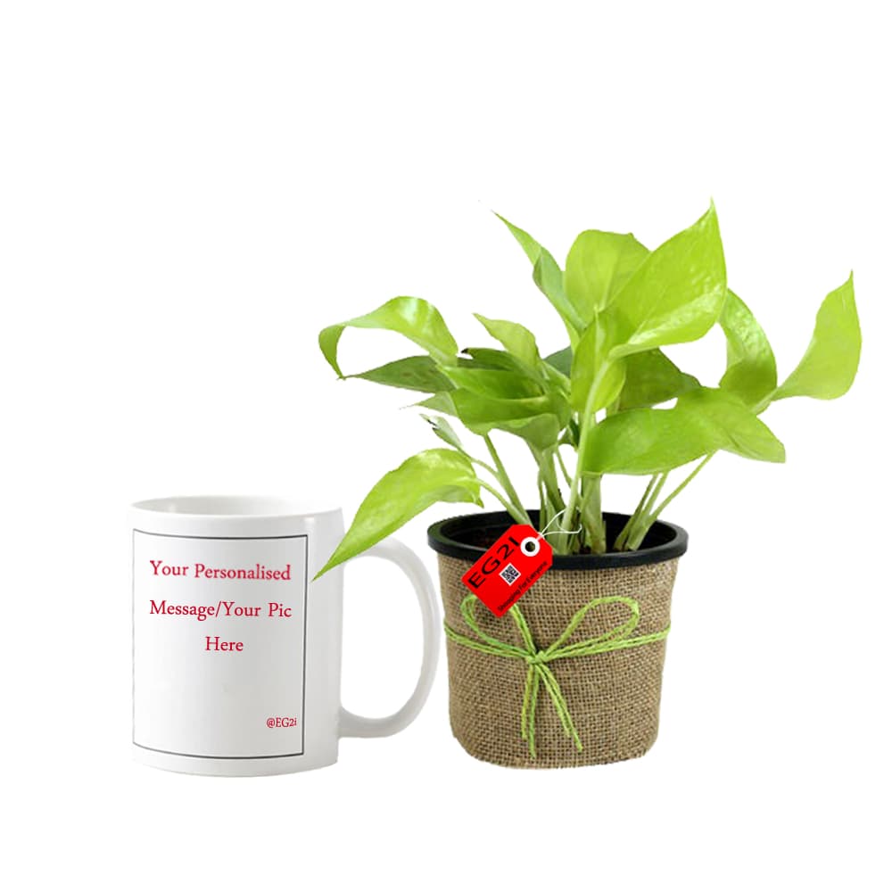 Money Plant with Personalised Mug