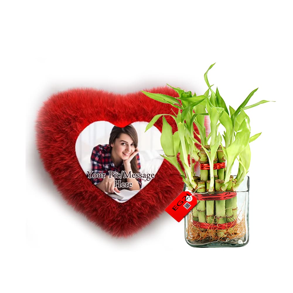 Lucky bamboo with Personalised Cushion